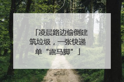 凌晨路边偷倒建筑垃圾，一张快递单“露马脚”