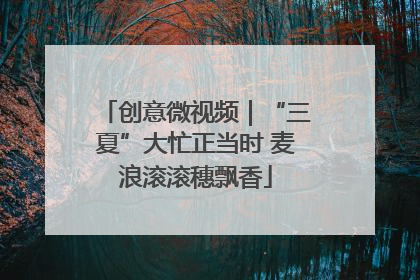 创意微视频｜“三夏”大忙正当时 麦浪滚滚穗飘香