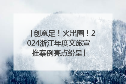 创意足！火出圈！2024浙江年度文旅宣推案例亮点纷呈