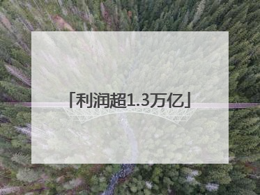 利润超1.3万亿