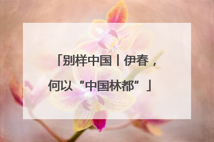 别样中国丨伊春，何以“中国林都”