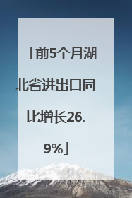 前5个月湖北省进出口同比增长26.9%