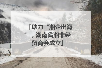助力“湘企出海”，湖南省湘非经贸商会成立
