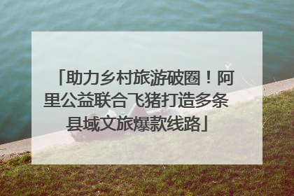 助力乡村旅游破圈！阿里公益联合飞猪打造多条县域文旅爆款线路