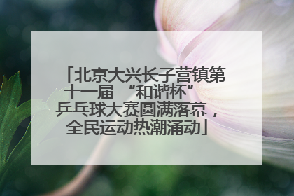 北京大兴长子营镇第十一届 “和谐杯” 乒乓球大赛圆满落幕，全民运动热潮涌动