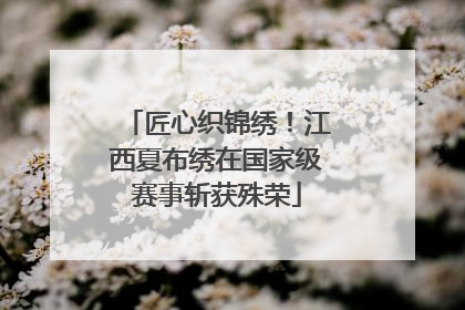匠心织锦绣！江西夏布绣在国家级赛事斩获殊荣