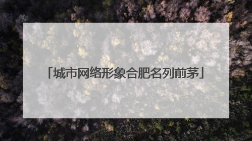 城市网络形象合肥名列前茅