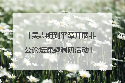 吴志明到平潭开展非公论坛课题调研活动
