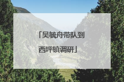 吴毓舟带队到西坪镇调研