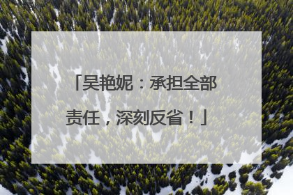 吴艳妮：承担全部责任，深刻反省！