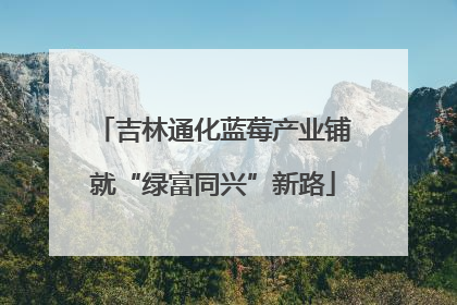 吉林通化蓝莓产业铺就“绿富同兴”新路