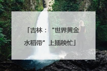 吉林：“世界黄金水稻带”上插秧忙