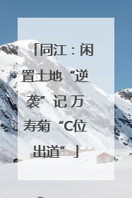 同江：闲置土地“逆袭”记 万寿菊“C位出道”