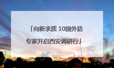 向新求质 10国外籍专家开启西安调研行