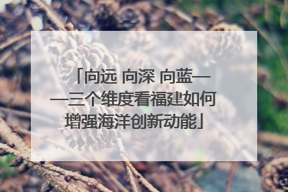 向远 向深 向蓝——三个维度看福建如何增强海洋创新动能