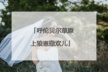 呼伦贝尔草原上狼崽撒欢儿