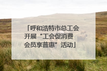 呼和浩特市总工会开展“工会促消费 会员享普惠”活动