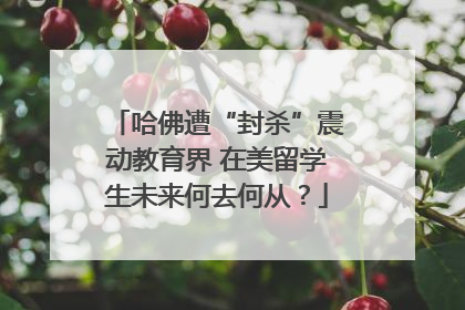 哈佛遭“封杀”震动教育界 在美留学生未来何去何从？