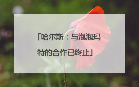 哈尔斯：与泡泡玛特的合作已终止