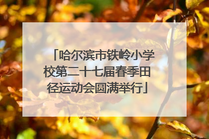 哈尔滨市铁岭小学校第二十七届春季田径运动会圆满举行