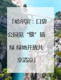哈尔滨：口袋公园见“缝”插绿 绿地开放共享清凉