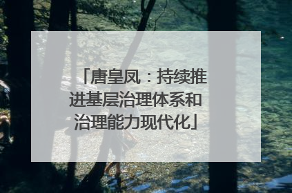 唐皇凤：持续推进基层治理体系和治理能力现代化