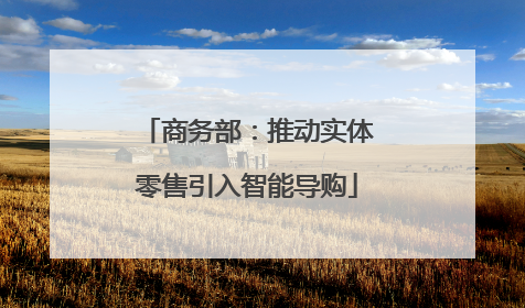商务部：推动实体零售引入智能导购