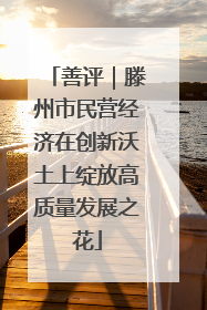 善评｜滕州市民营经济在创新沃土上绽放高质量发展之花