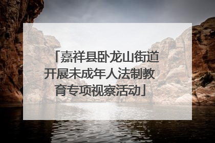 嘉祥县卧龙山街道开展未成年人法制教育专项视察活动