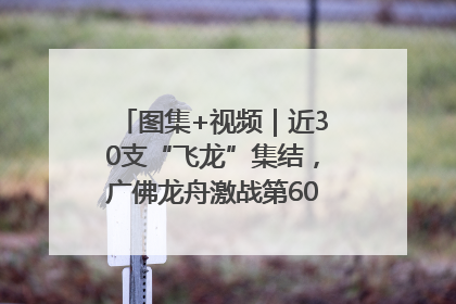 图集+视频｜近30支“飞龙”集结，广佛龙舟激战第60届荔湾“沙溪景”