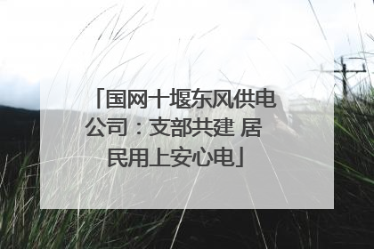 国网十堰东风供电公司：支部共建 居民用上安心电