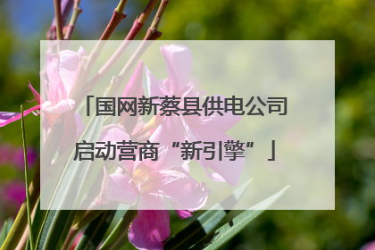国网新蔡县供电公司启动营商“新引擎”