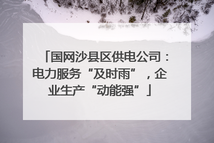 国网沙县区供电公司：电力服务“及时雨”，企业生产“动能强”