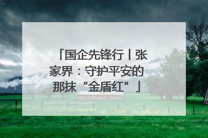 国企先锋行丨张家界：守护平安的那抹“金盾红”