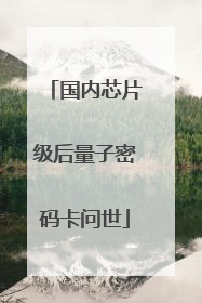 国内芯片级后量子密码卡问世