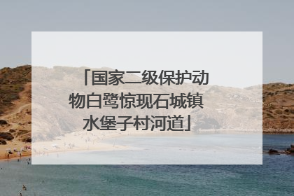 国家二级保护动物白鹭惊现石城镇水堡子村河道
