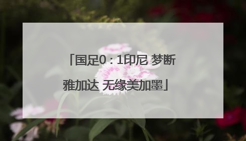 国足0∶1印尼 梦断雅加达 无缘美加墨