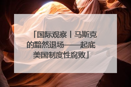 国际观察丨马斯克的黯然退场——起底美国制度性腐败