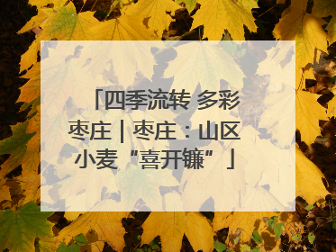 四季流转 多彩枣庄｜枣庄：山区小麦“喜开镰”