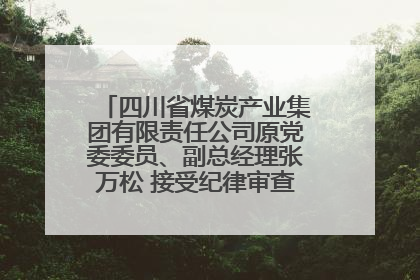 四川省煤炭产业集团有限责任公司原党委委员、副总经理张万松 接受纪律审查和监察调查