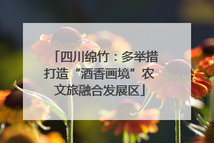 四川绵竹：多举措打造“酒香画境”农文旅融合发展区