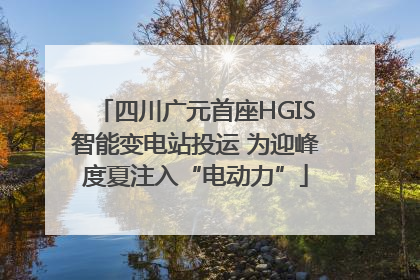 四川广元首座HGIS智能变电站投运 为迎峰度夏注入“电动力”