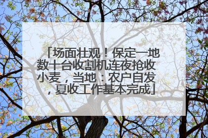 场面壮观！保定一地数十台收割机连夜抢收小麦，当地：农户自发，夏收工作基本完成