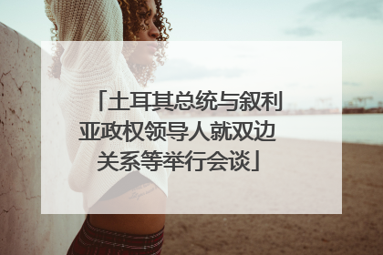土耳其总统与叙利亚政权领导人就双边关系等举行会谈
