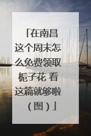 在南昌 这个周末怎么免费领取栀子花 看这篇就够啦（图）