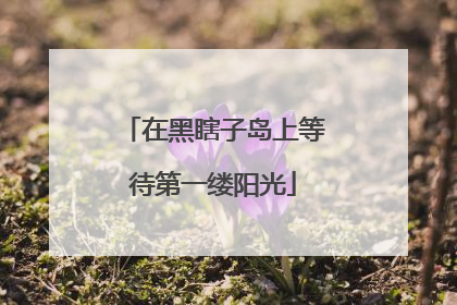 在黑瞎子岛上等待第一缕阳光