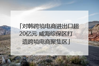 对韩跨境电商进出口超20亿元 威海综保区打造跨境电商聚集区