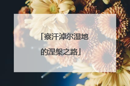 察汗淖尔湿地的涅槃之路