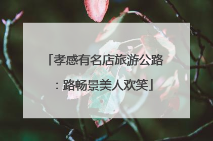 孝感有名店旅游公路：路畅景美人欢笑