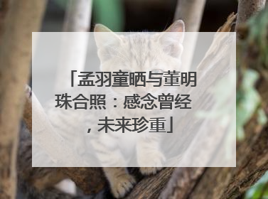 孟羽童晒与董明珠合照：感念曾经，未来珍重